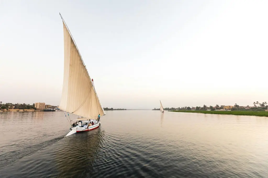 Felucca Cruise (5)